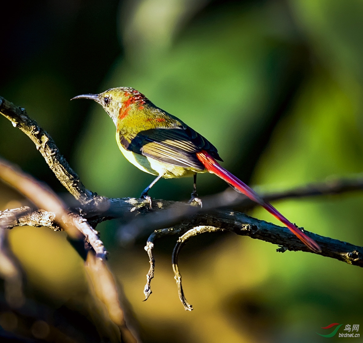 _DSC9023---A--27T.jpg