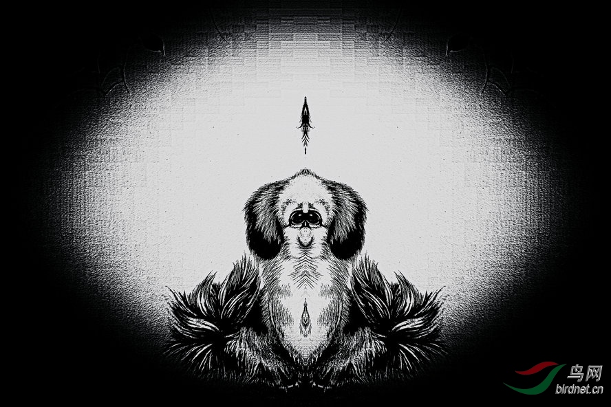 BW6I2752_����_����1_����1_����1_���� - ����.jpg