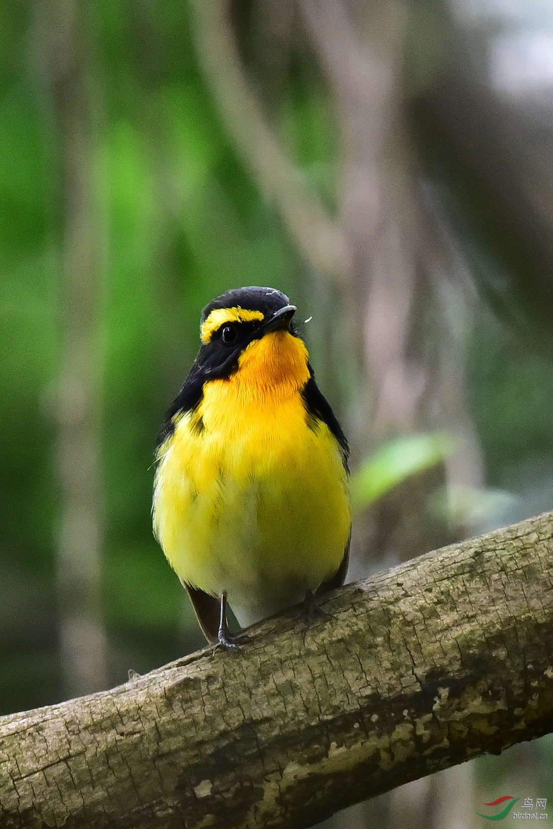DSC_0592.JPG