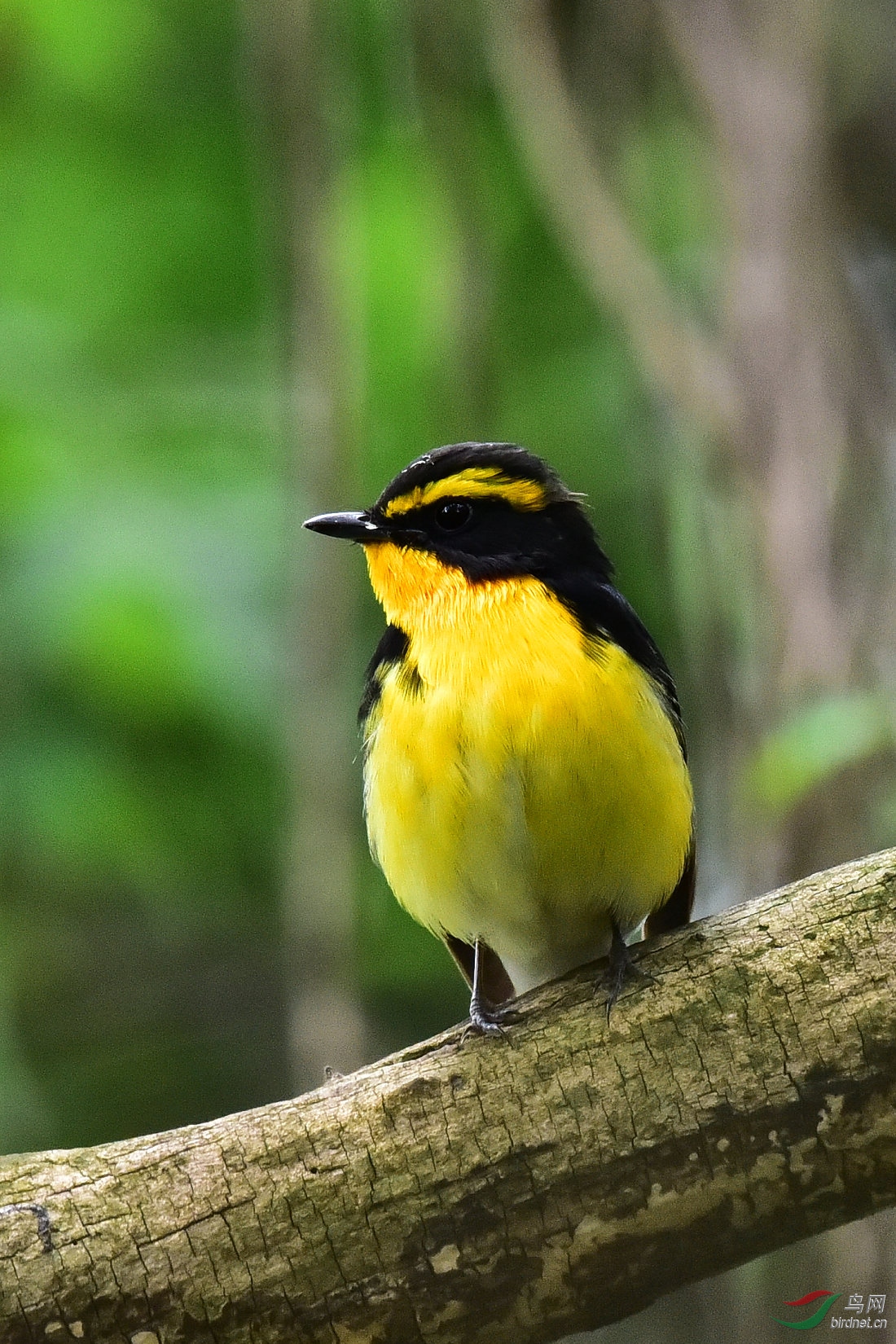 DSC_0593.JPG