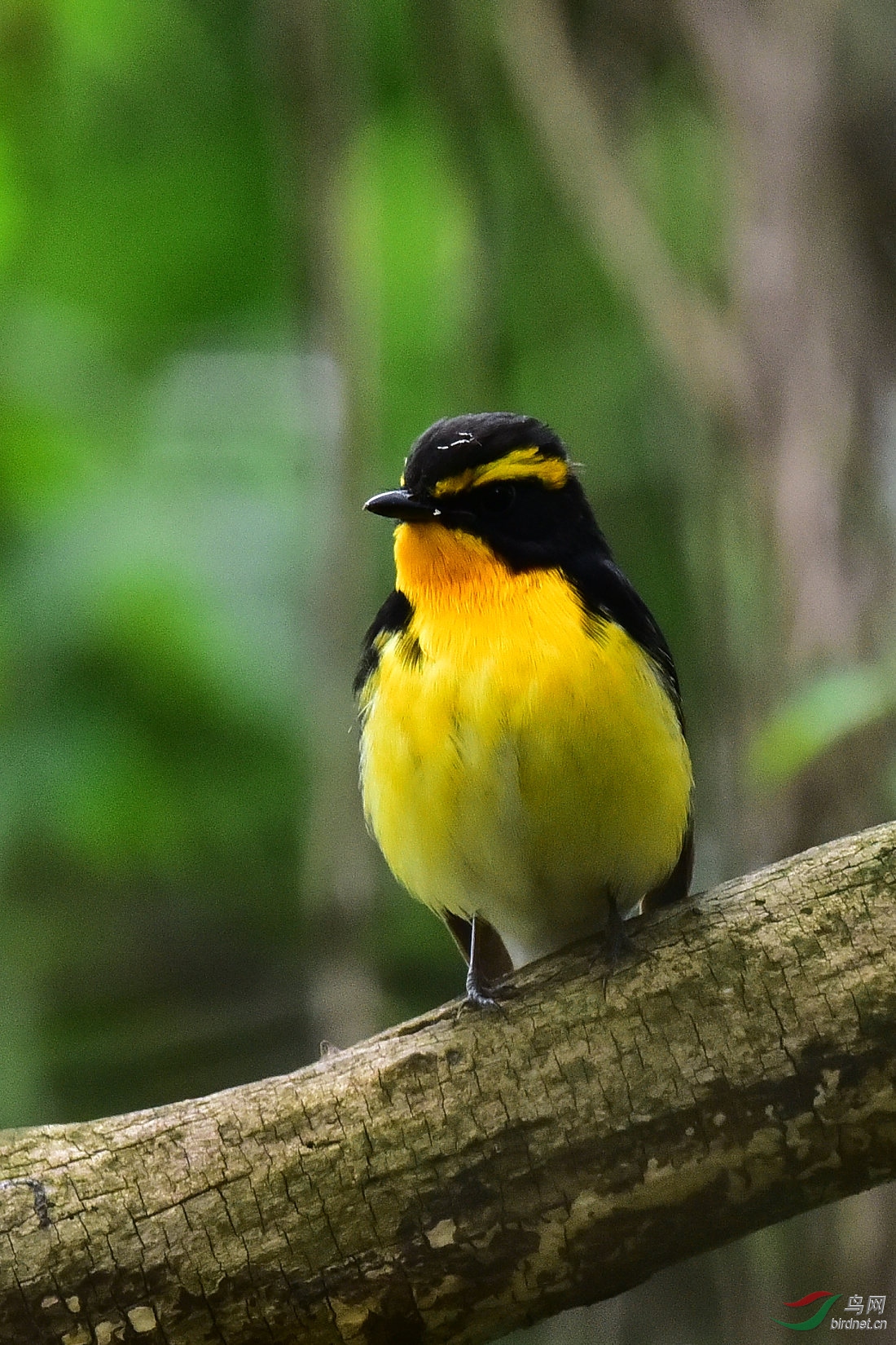 DSC_0594.JPG