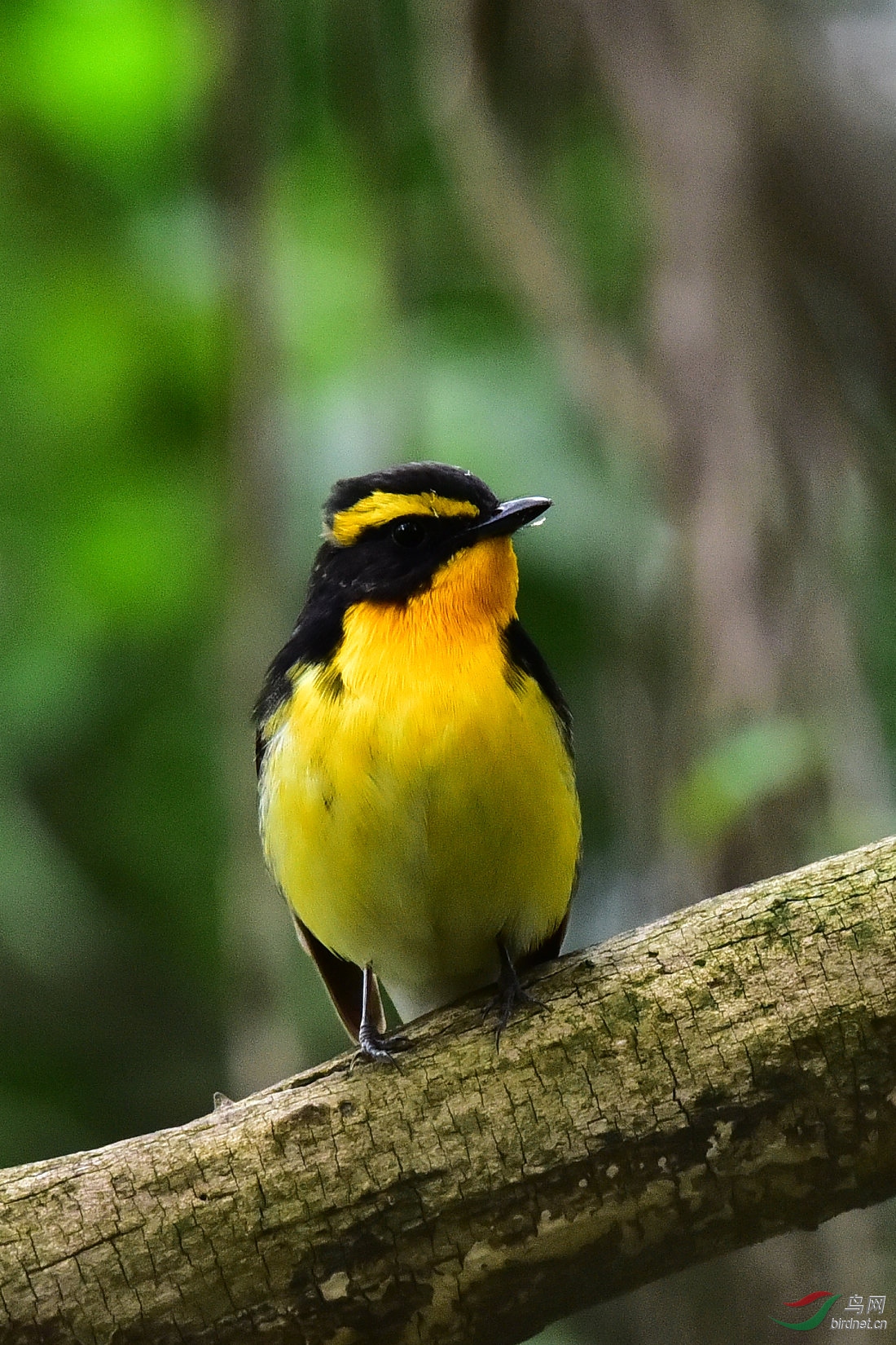 DSC_0595.JPG