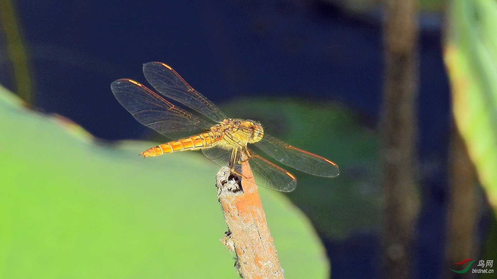 DSCN9275.JPG