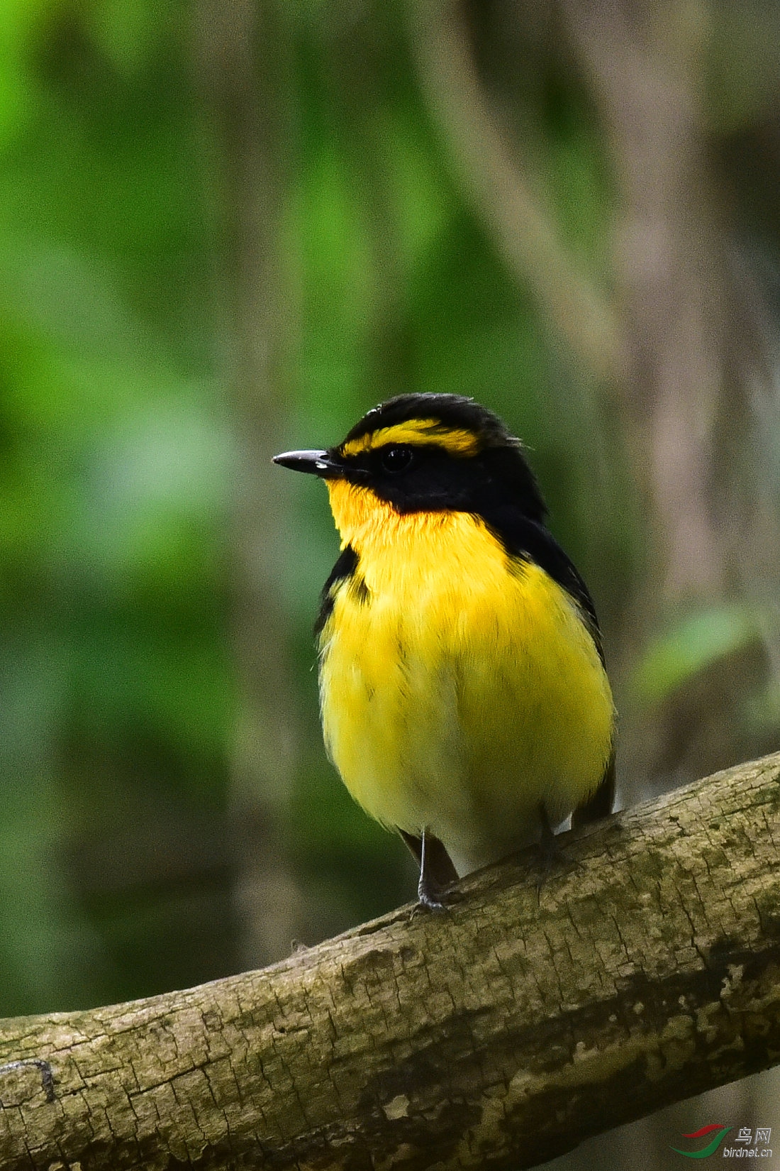 DSC_0598.JPG