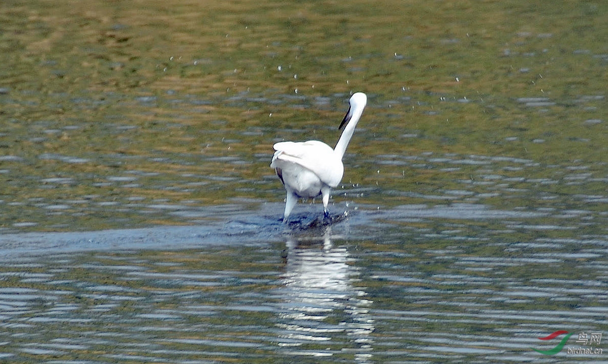 DSC_4548.JPG