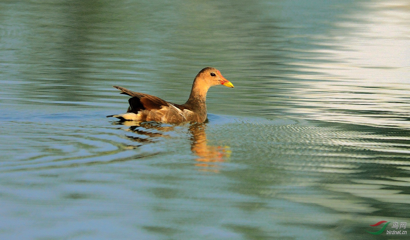 DSC_7958.JPG