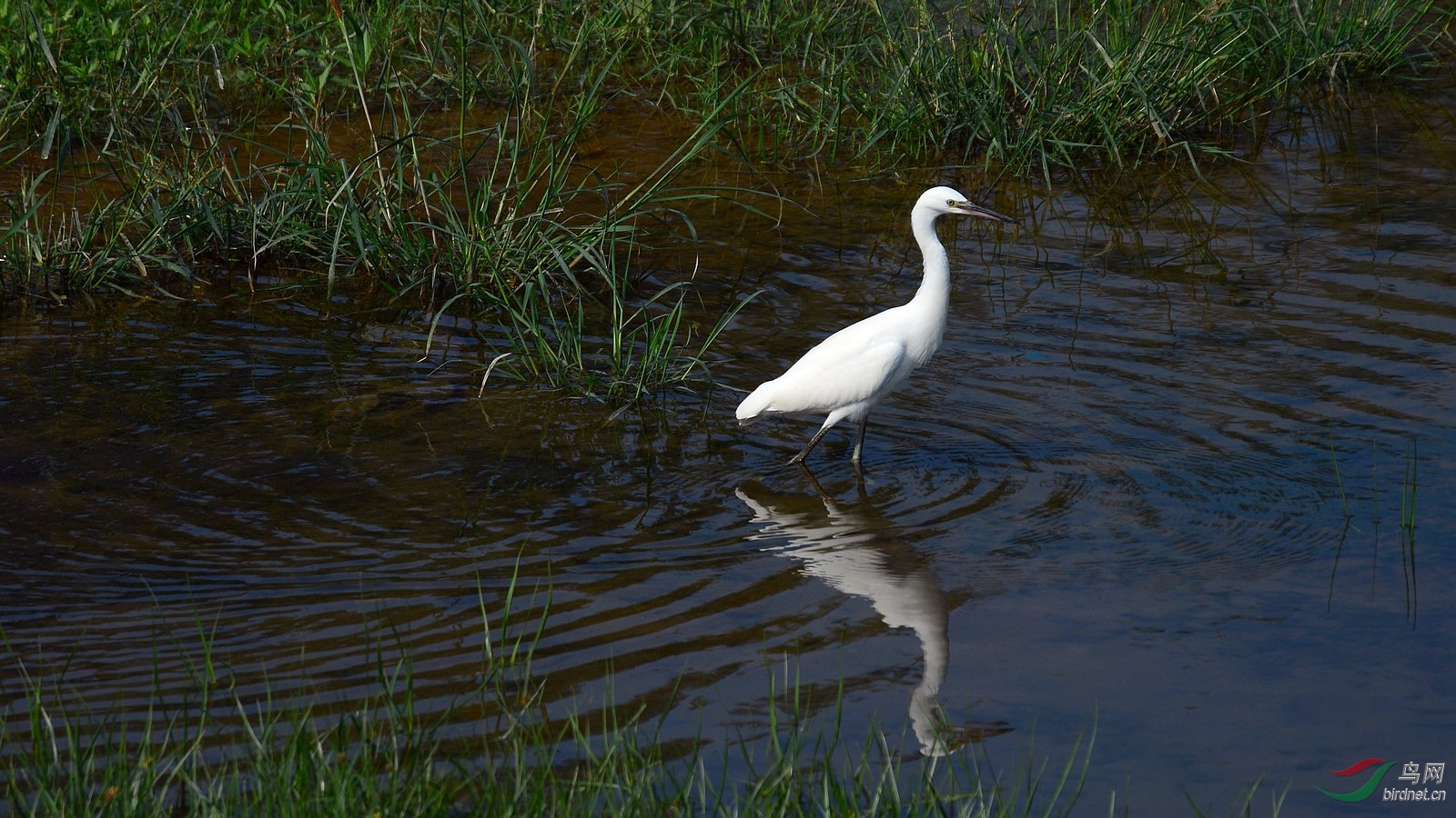DSC_7199.JPG