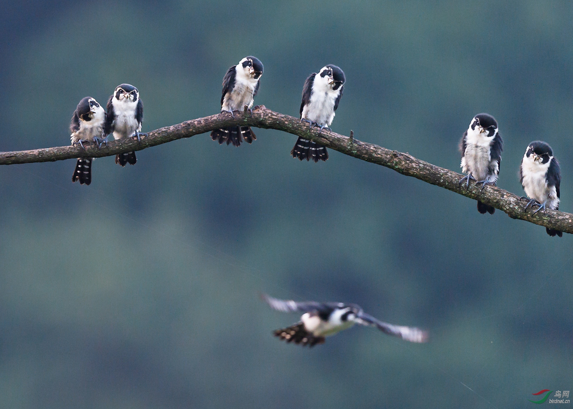 ���������ѧ���У�