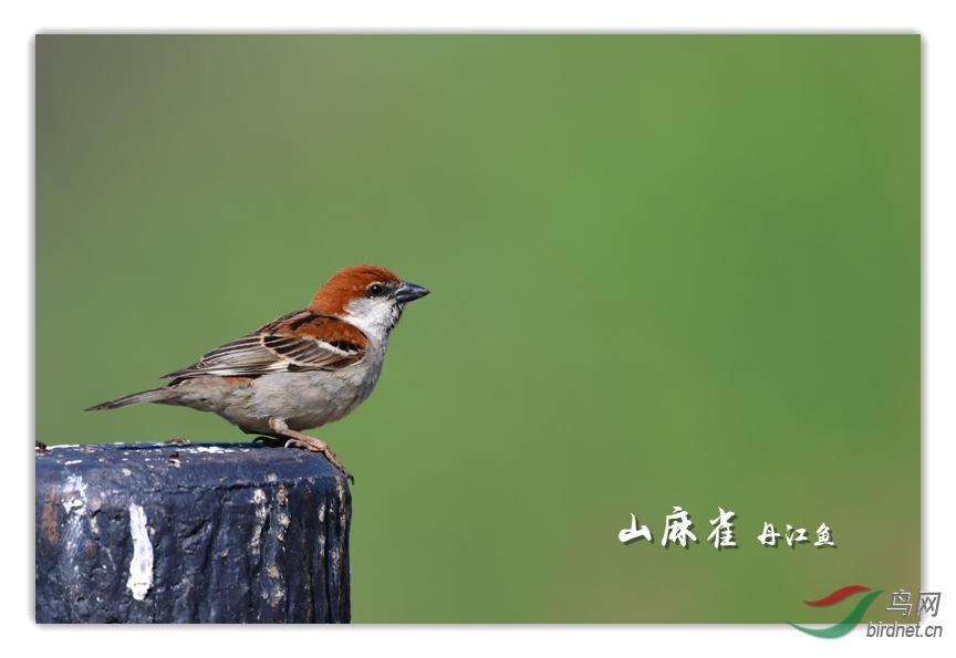 A1D_2573_����.jpg