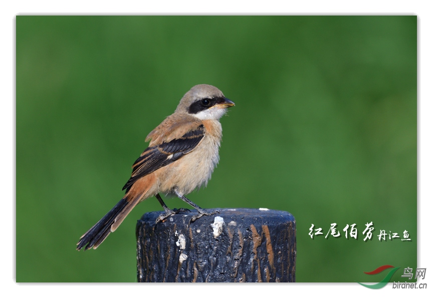 BCD_5124_00032_����.jpg