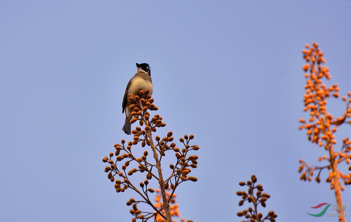 DSC_3495.JPG