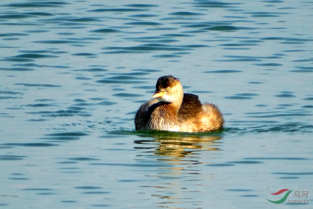 DSC00722.JPG
