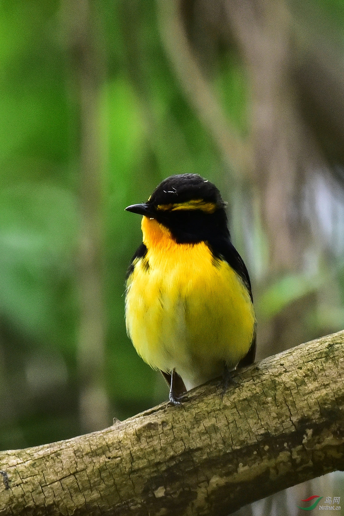 DSC_0599.JPG