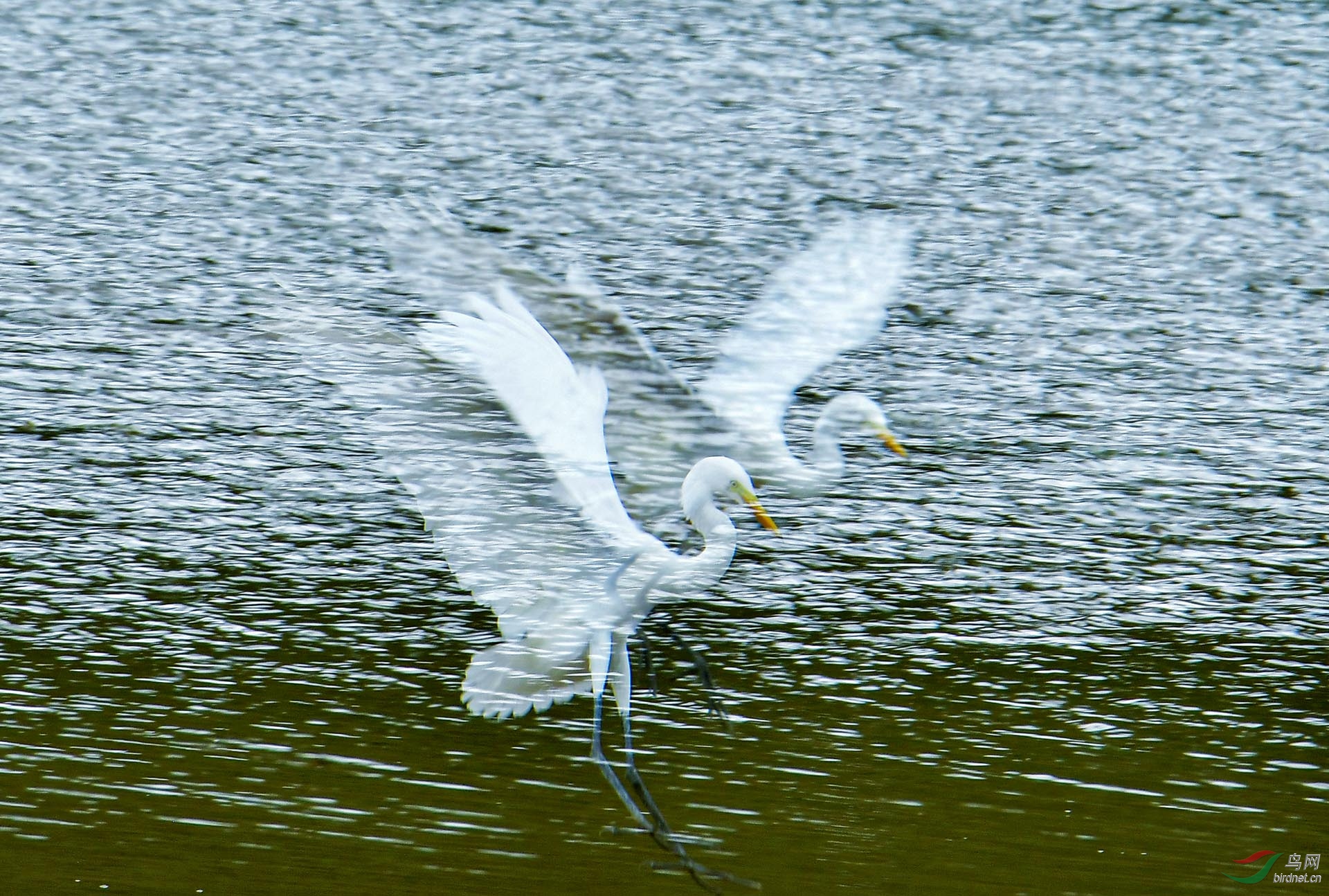 DSC_3681.jpg