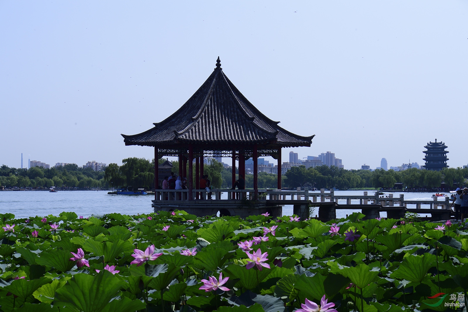 _D5S8059_6507a.jpg