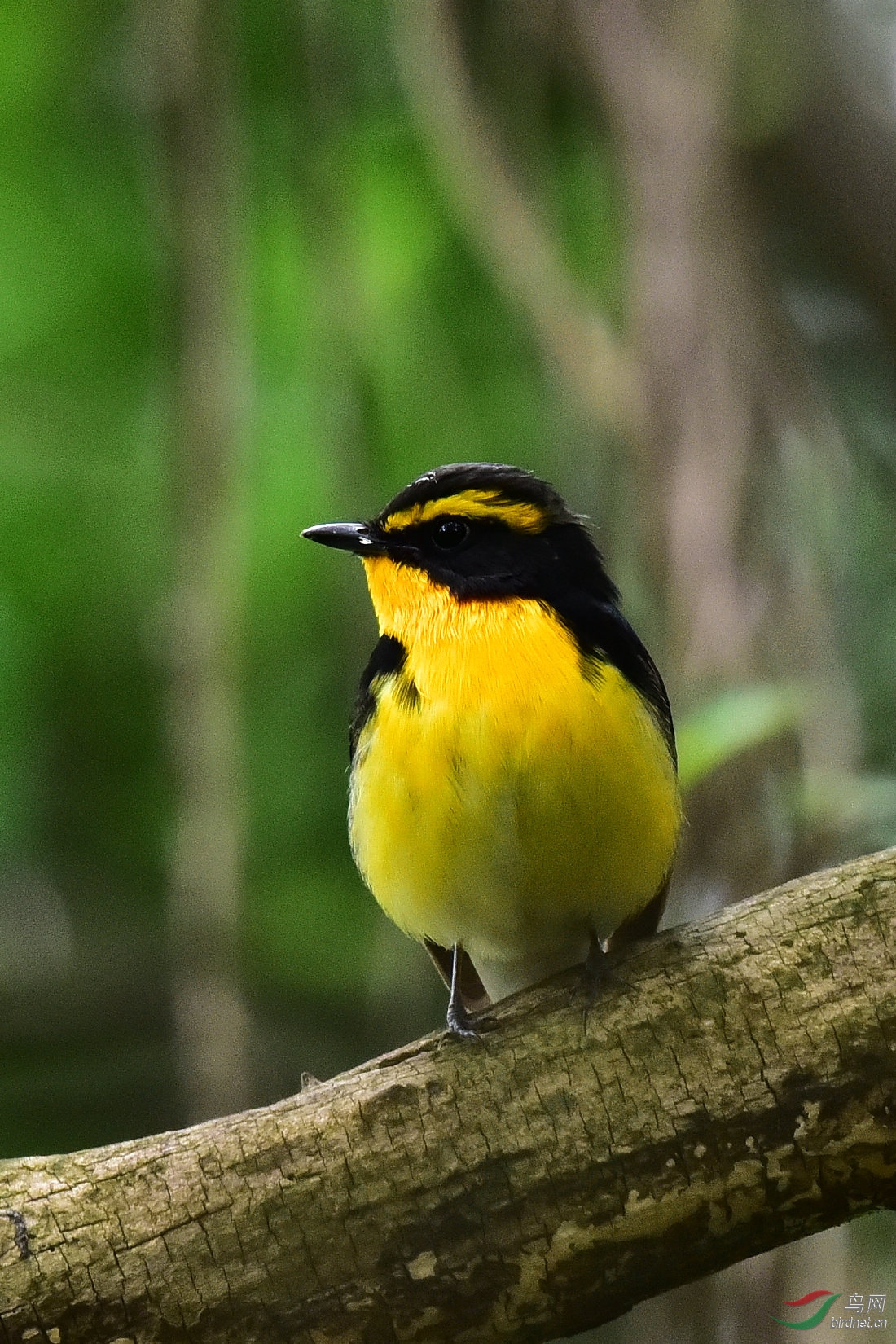 DSC_0603.JPG