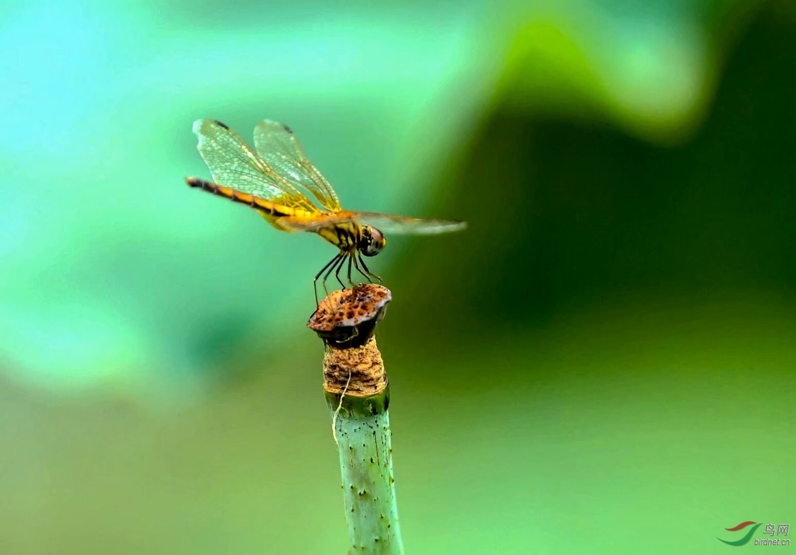 9605F6CF-9A5A-4821-AADD-3F04343F78DD.jpeg