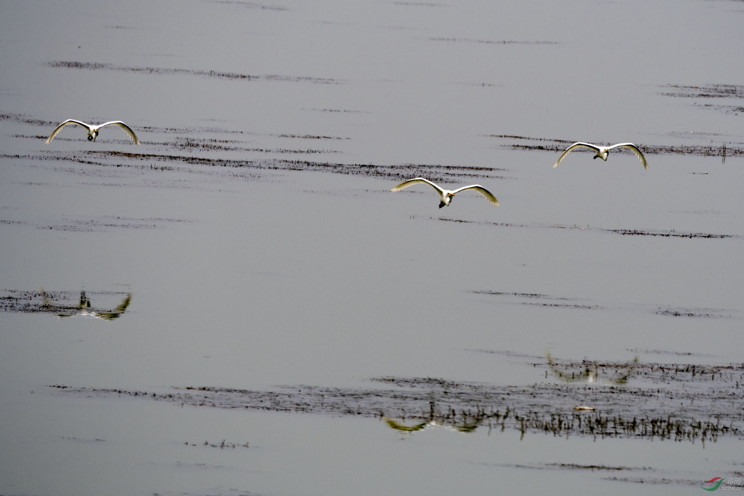 D50_6016.jpg