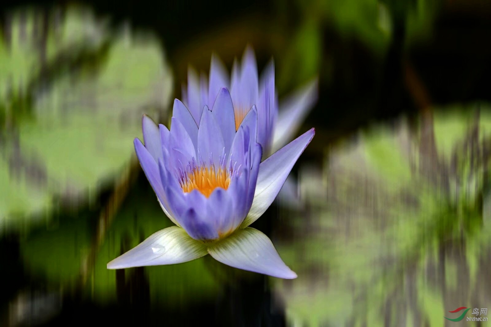 3CE5D39A-EF0C-4421-A008-28ACD4CD8AC5.jpeg