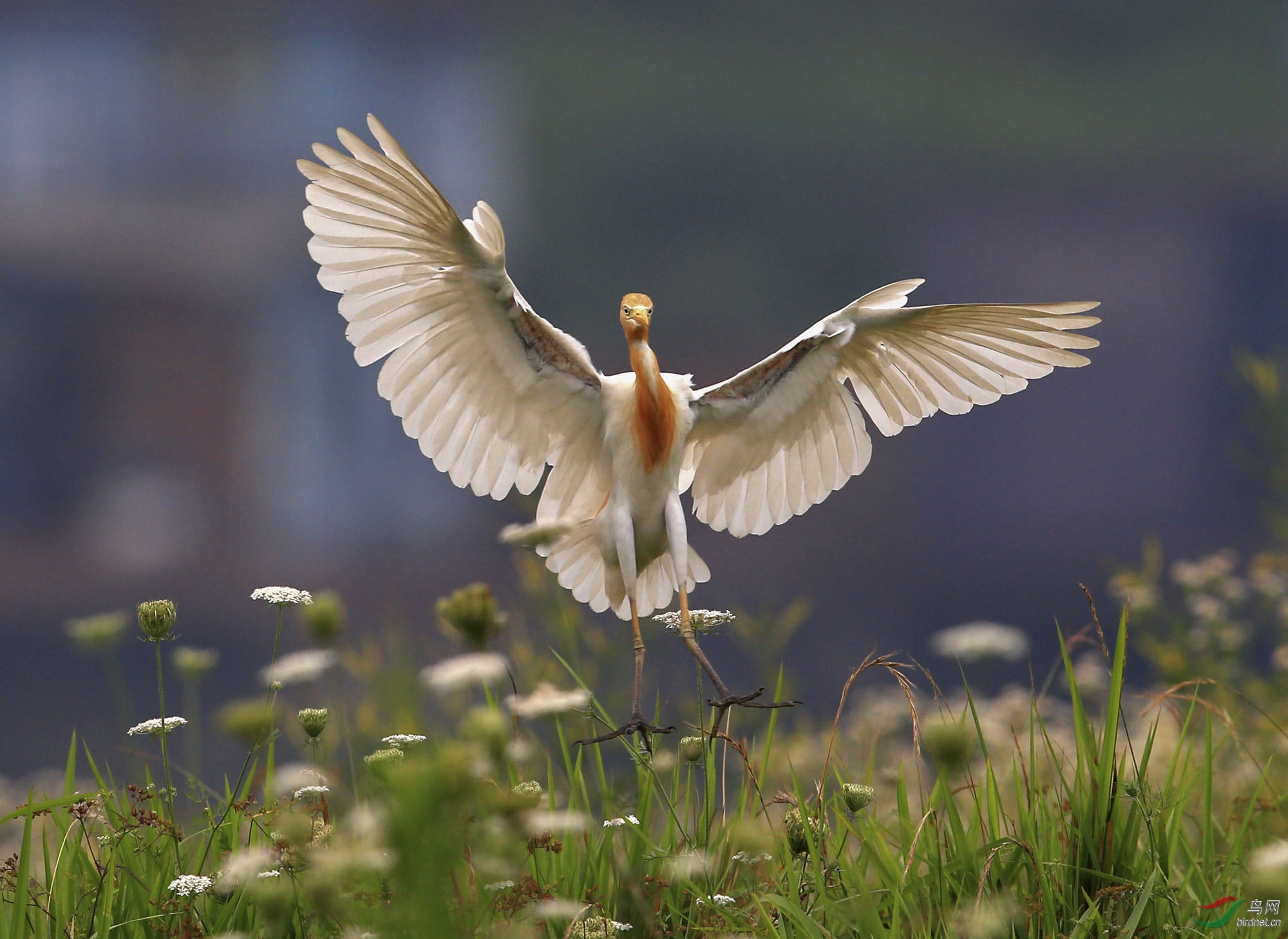 ţ���� (8).jpg