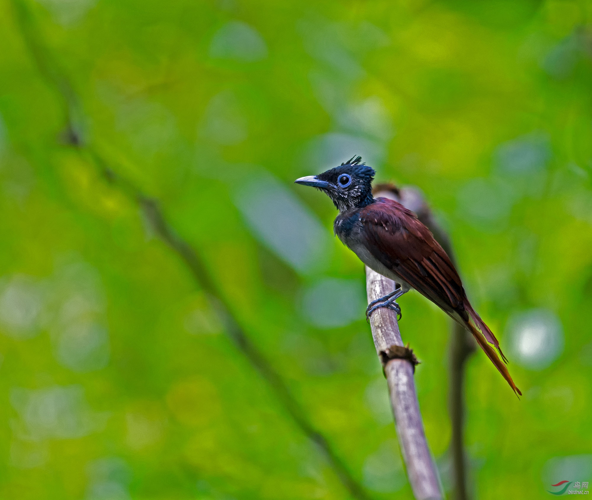 DSC_6798.jpg