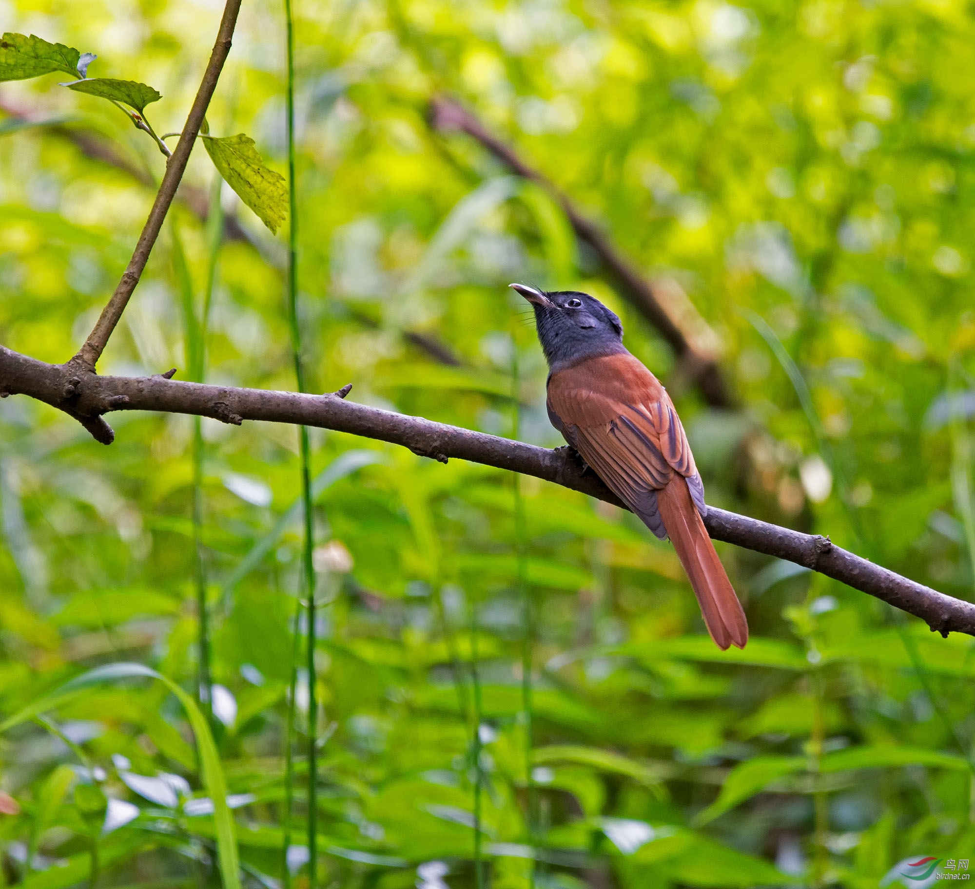 DSC_6778.jpg