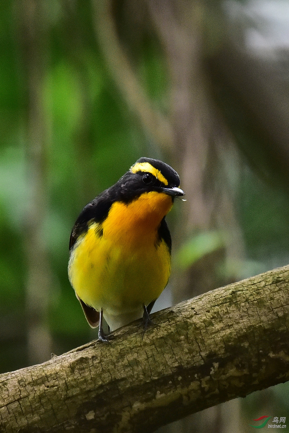DSC_0608.JPG