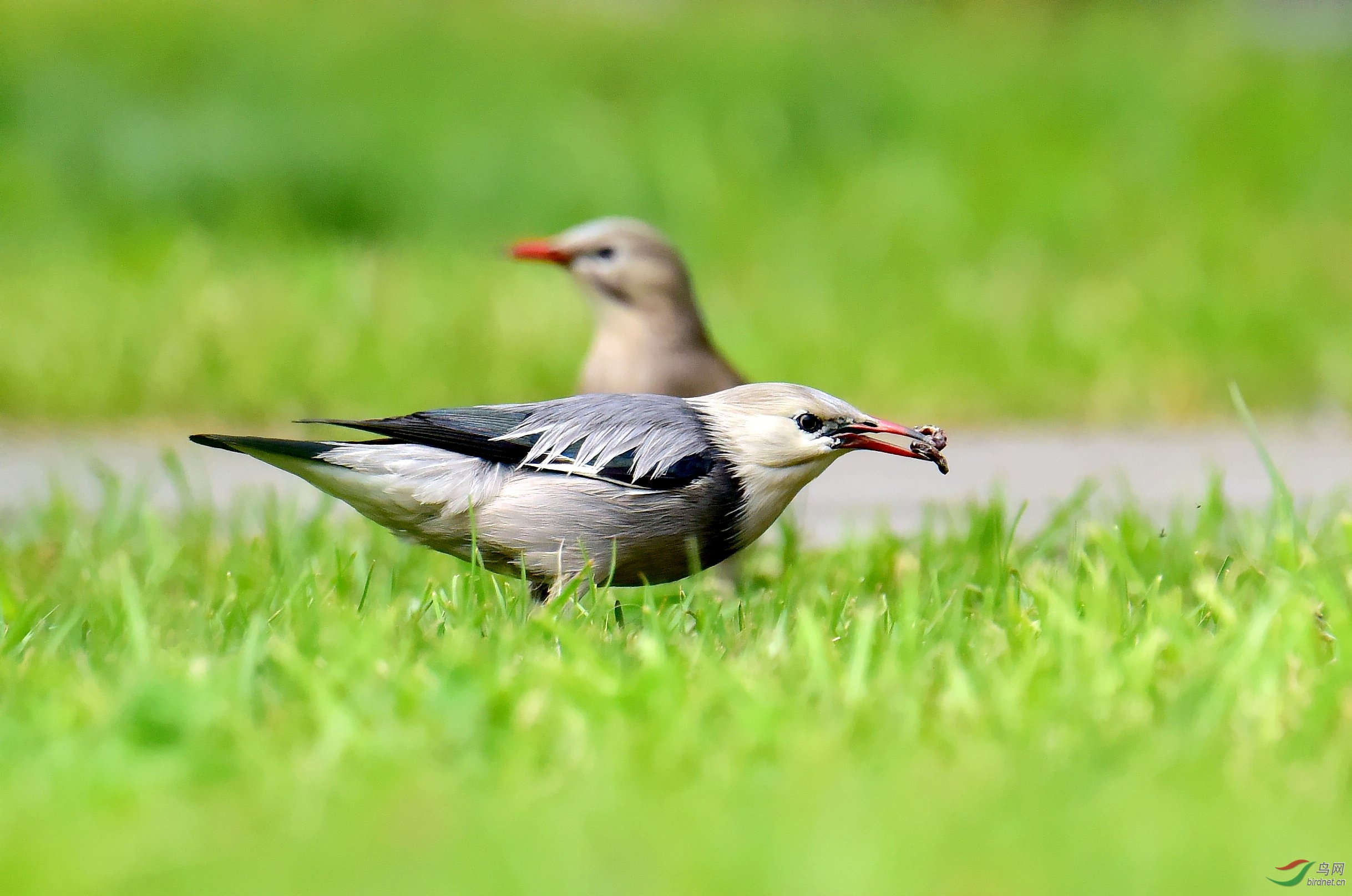 DSC_4565_conew1.jpg