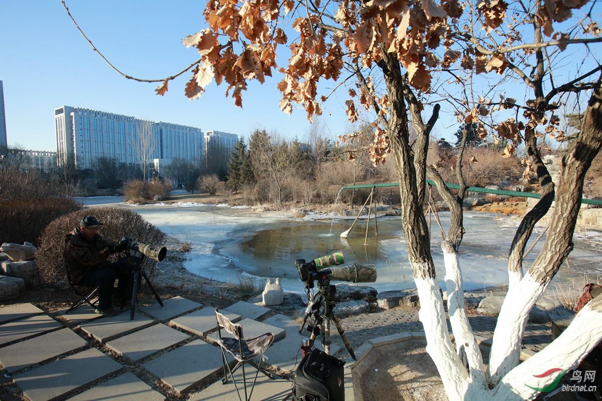 �����ֳ�