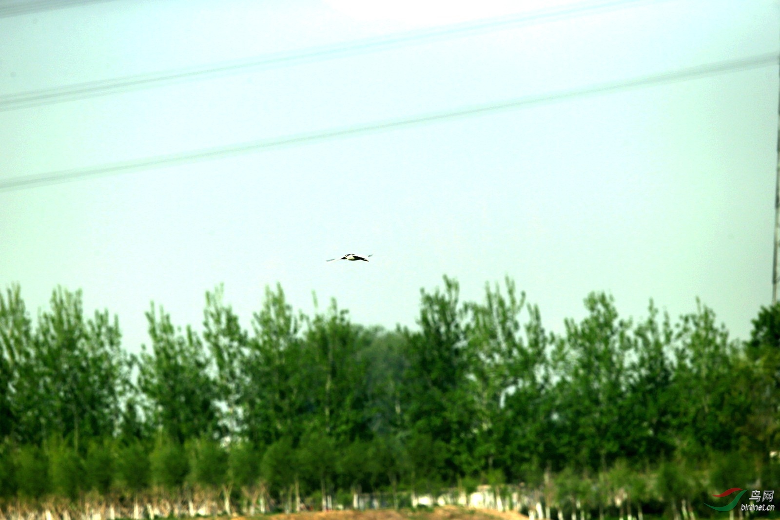 DJ4W0294.JPG