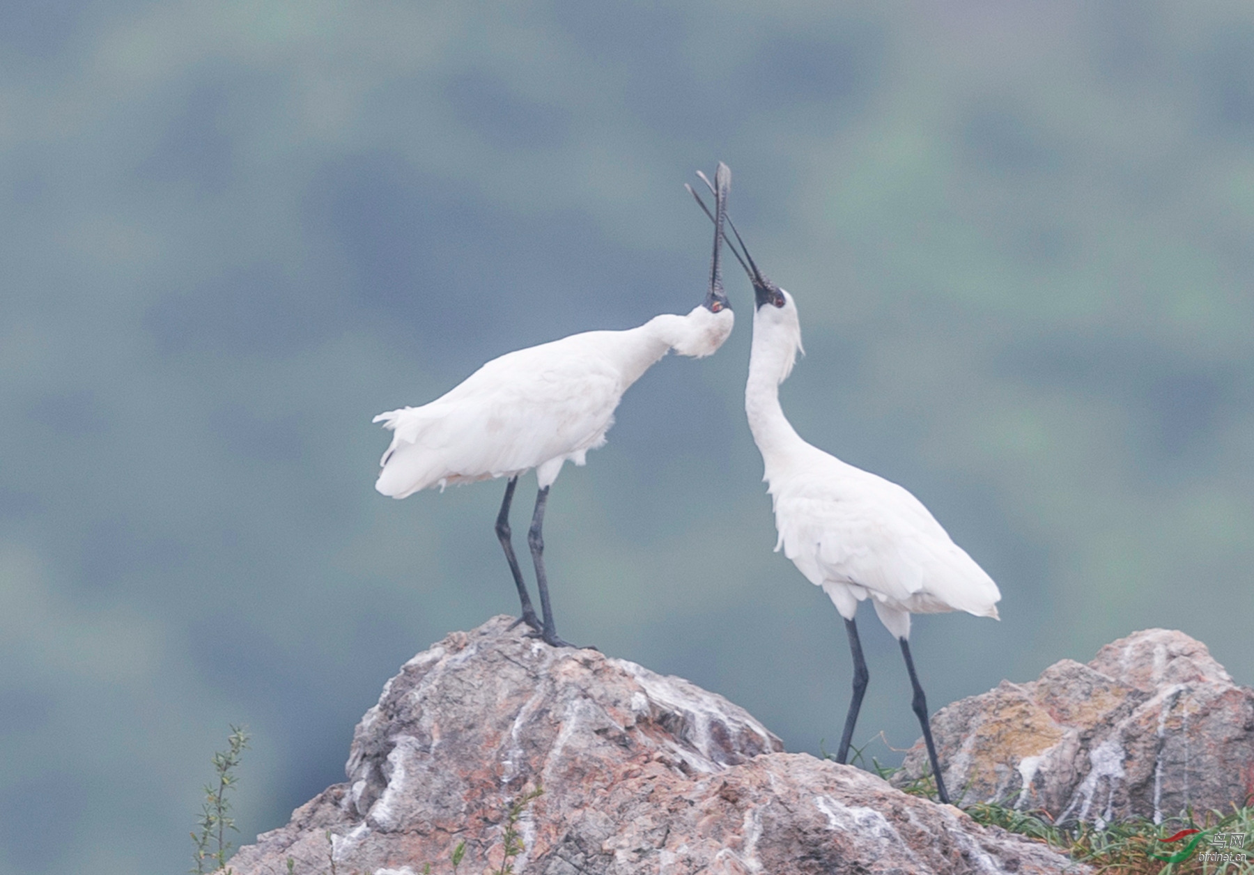 _K8I0975  01_����.jpg