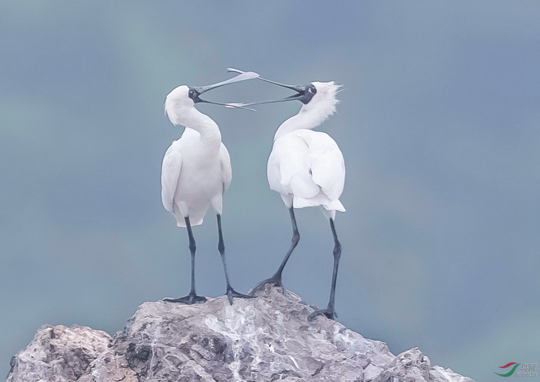 _K8I0850  01_����.jpg