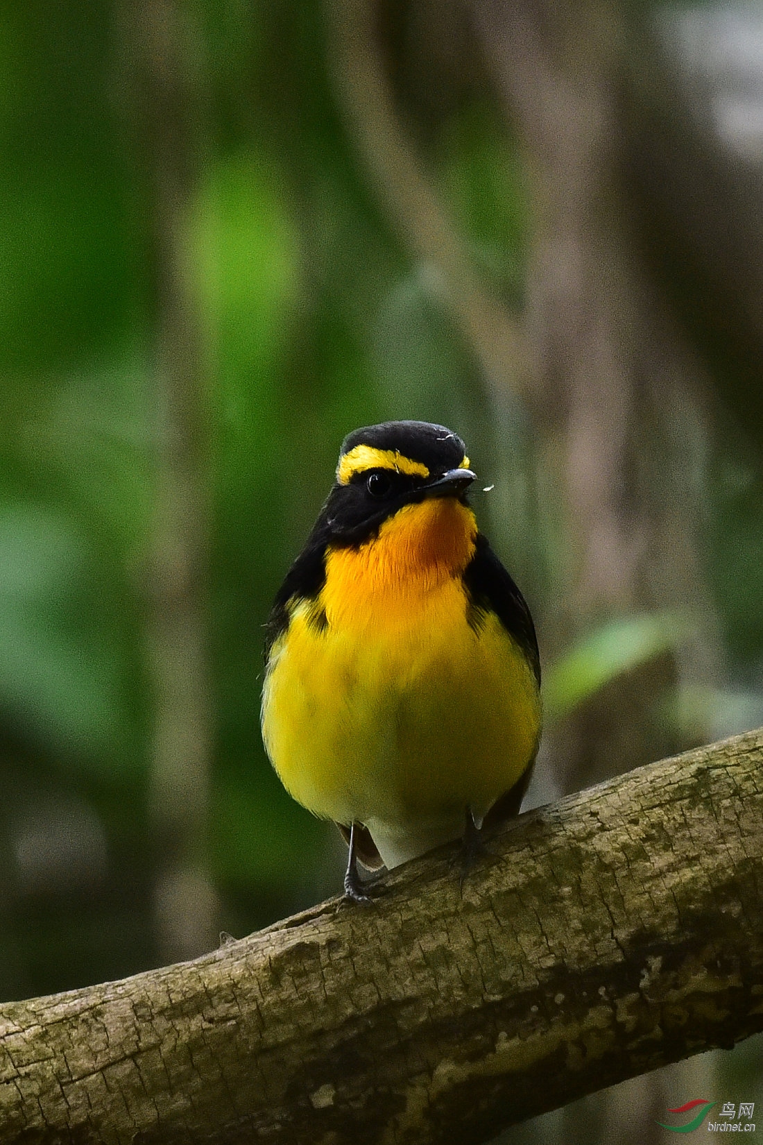 DSC_0610.JPG