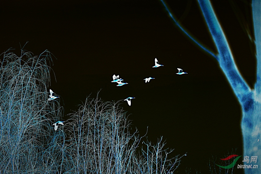 BW6I2841_����_����.JPG
