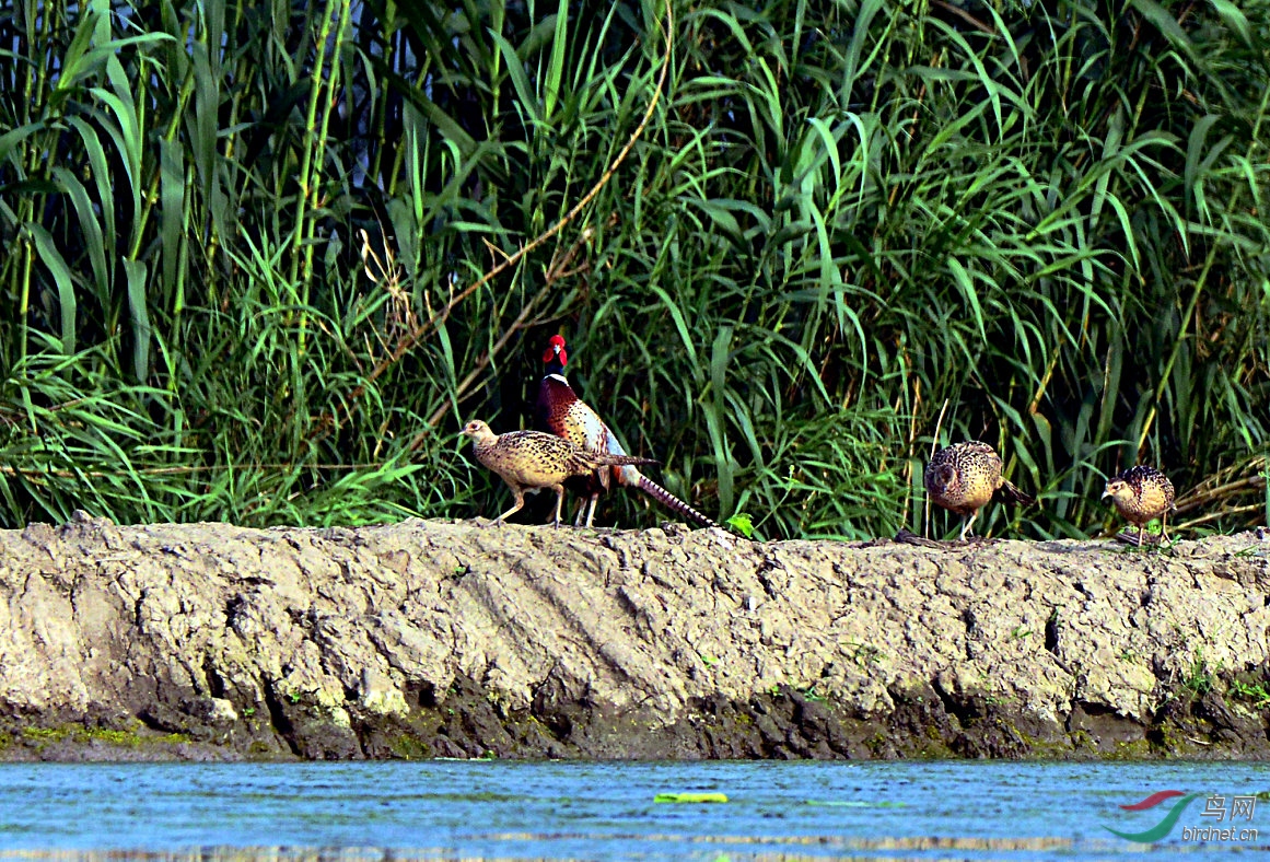 DSC_5574.jpg