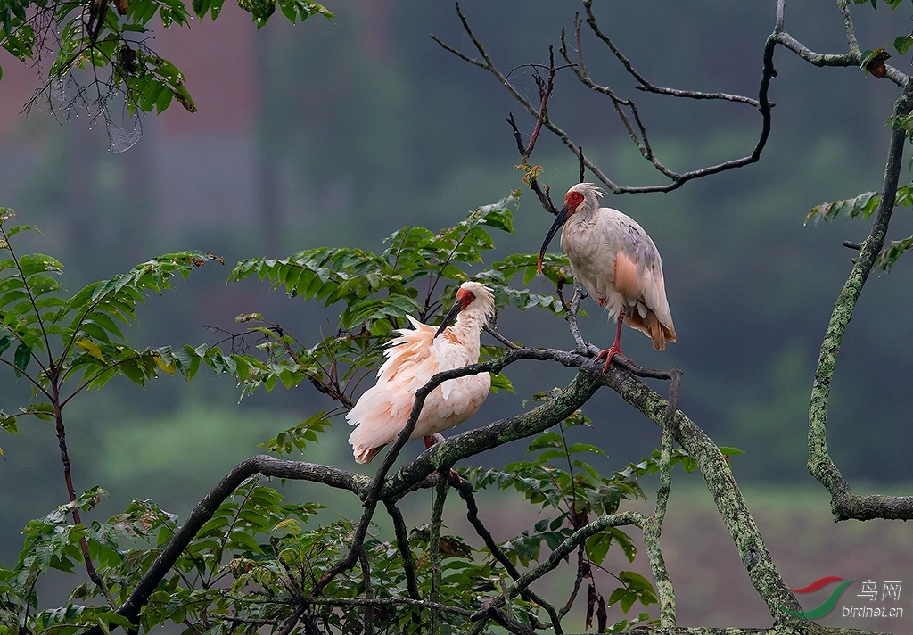 B79T5688.jpg