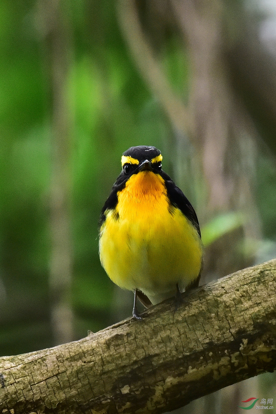DSC_0614.JPG