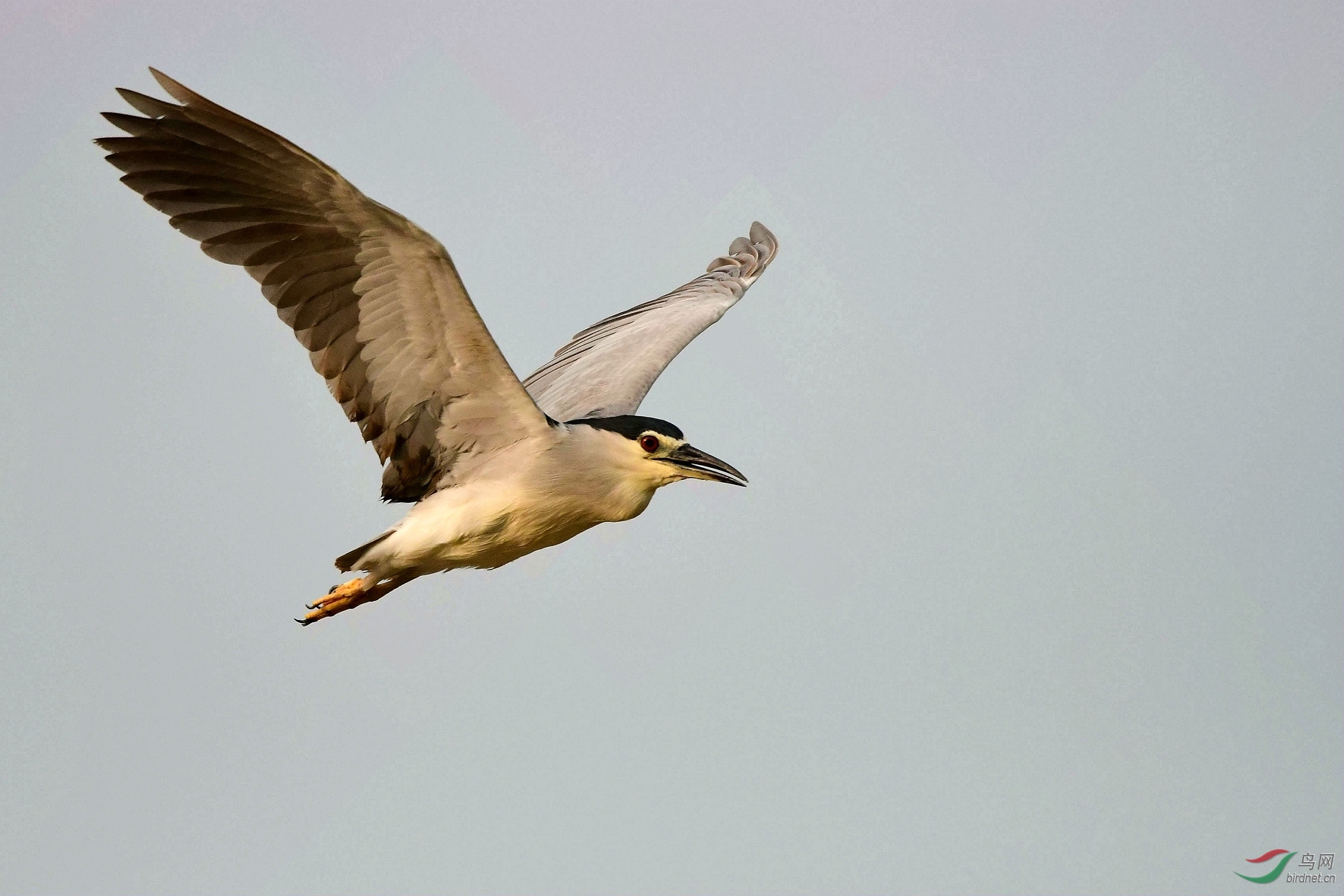 DSC_0416_����.jpg