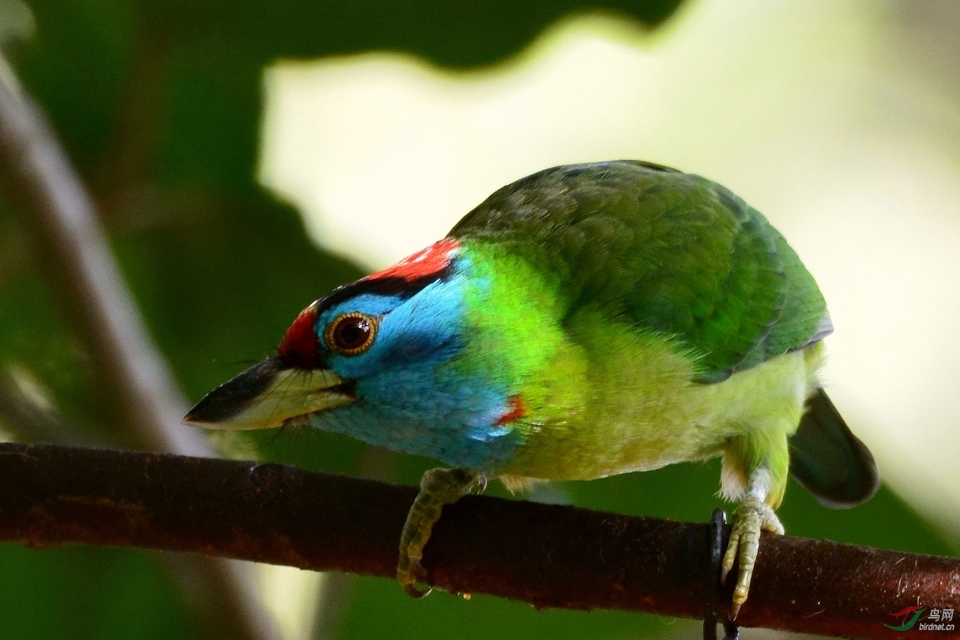 DSC_5049.JPG