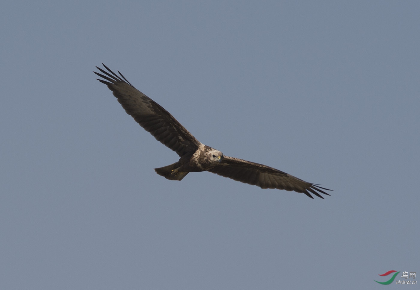 D4S_5584.jpg