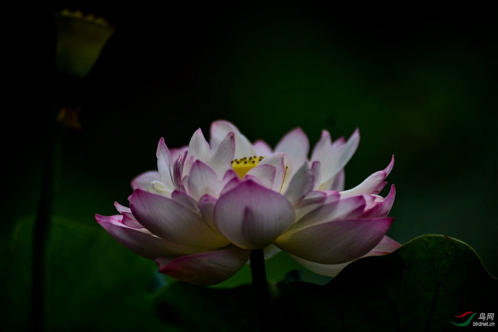 F833E57F-AB65-4132-BF65-5FDADB36EC7A.jpeg