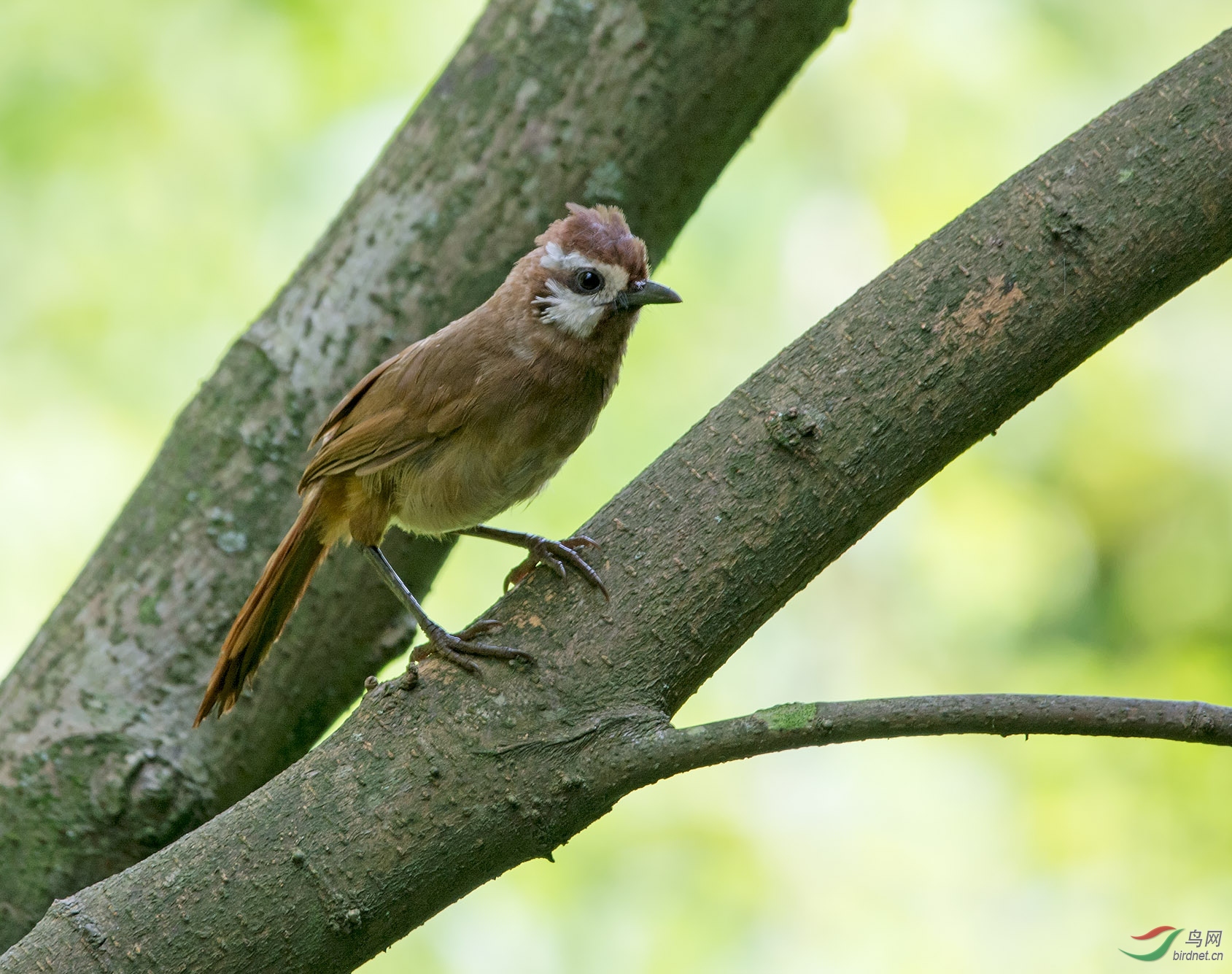 DSC_6806.jpg