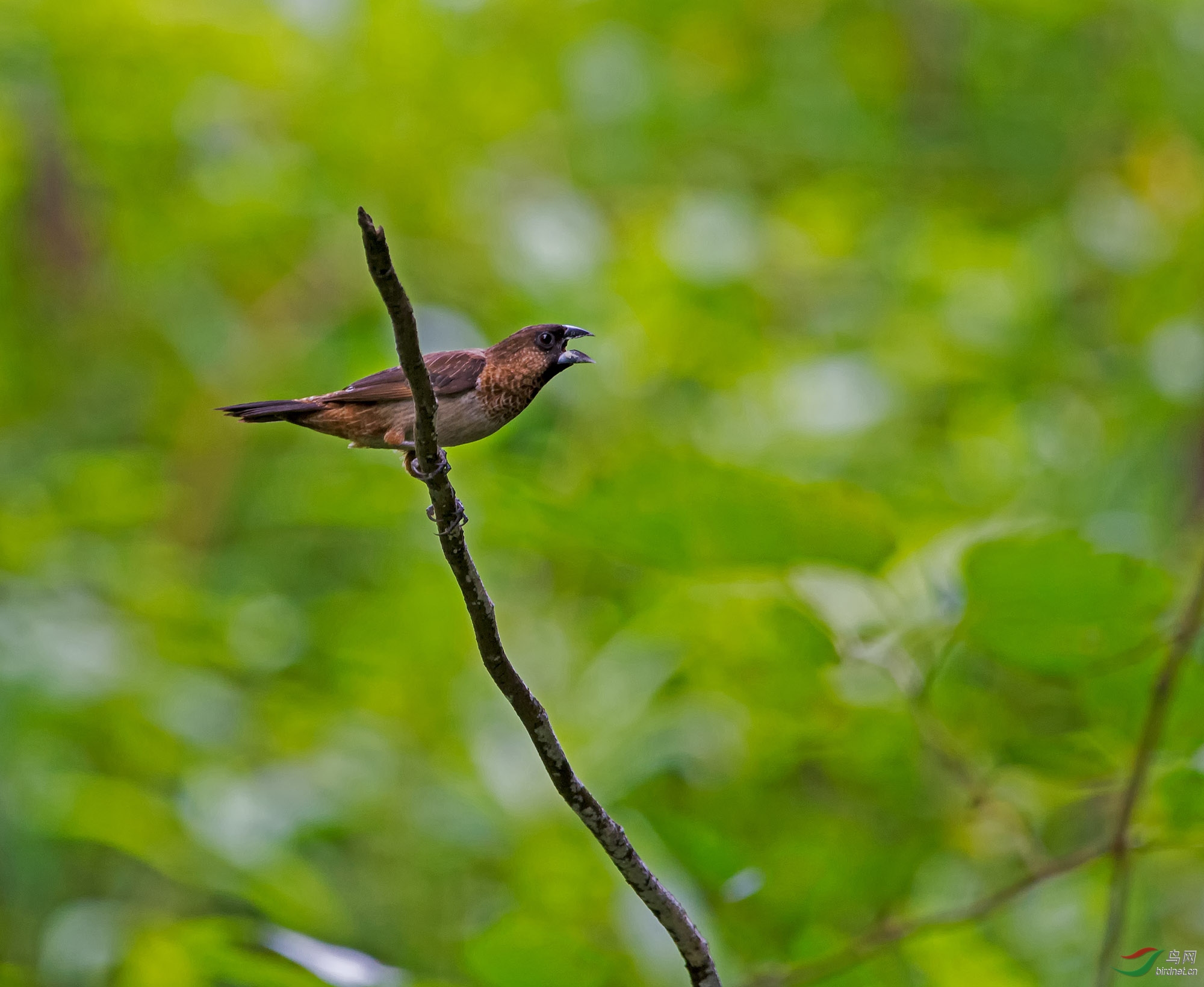 DSC_6846.jpg