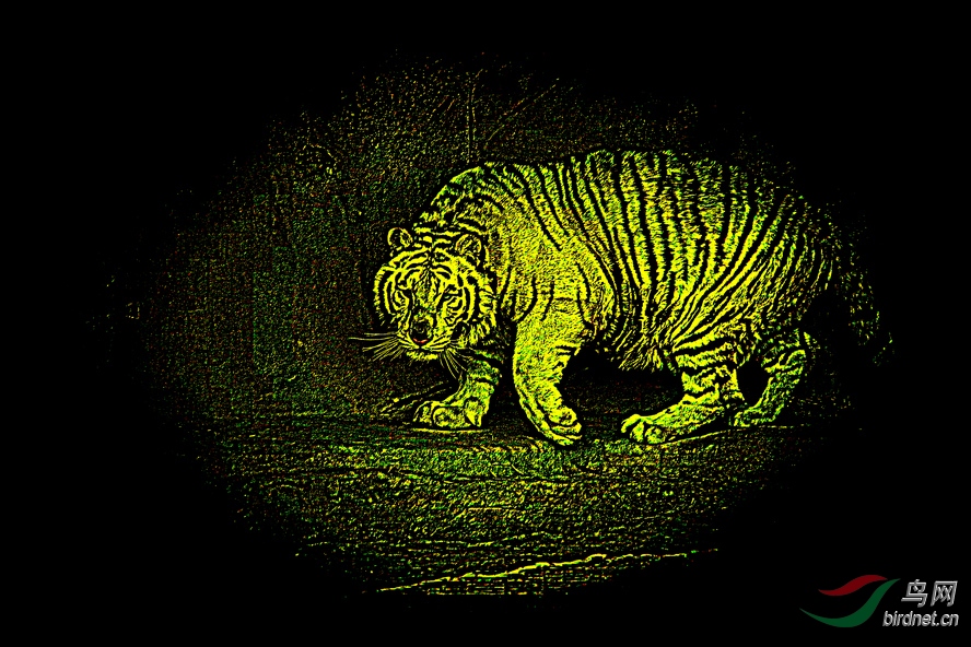 BW6I5650_����_����.JPG