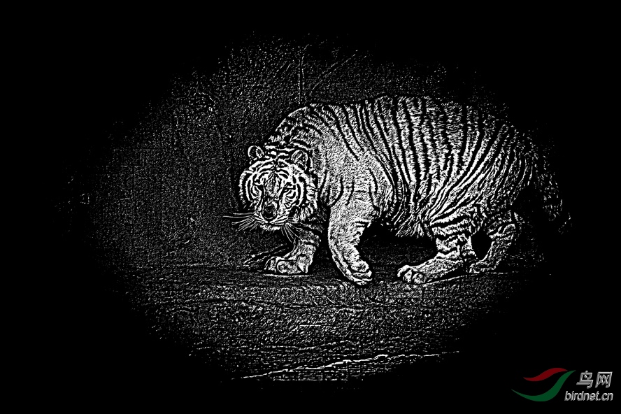 BW6I5650_����_����1_����1_����.JPG