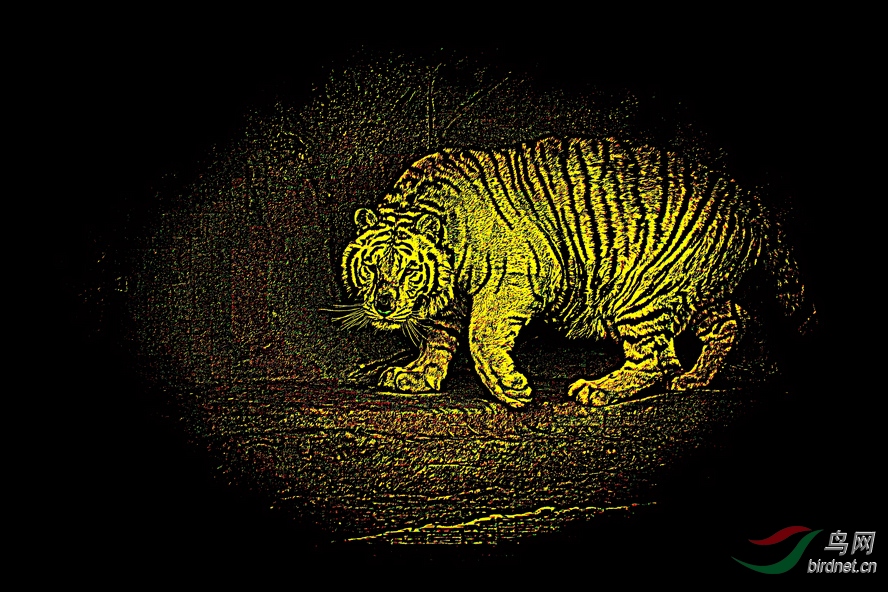 BW6I5650_����_����1_����.JPG