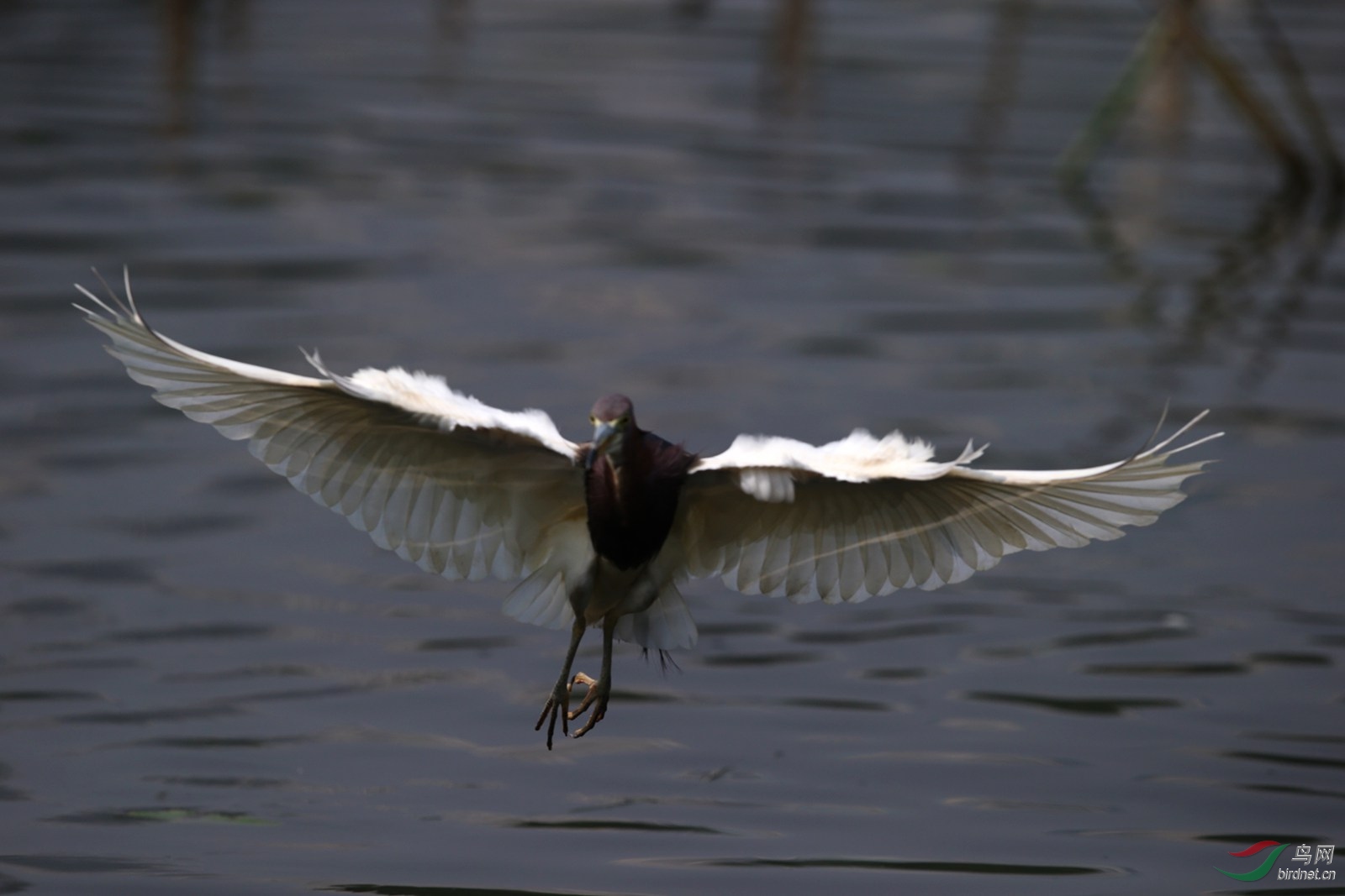 DJ4W2153.JPG
