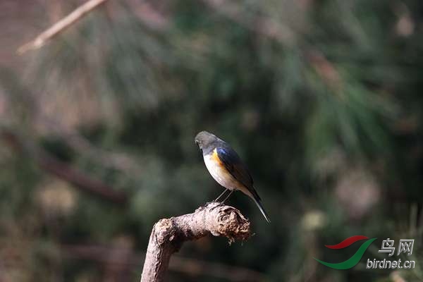 ��˼�� 490.jpg