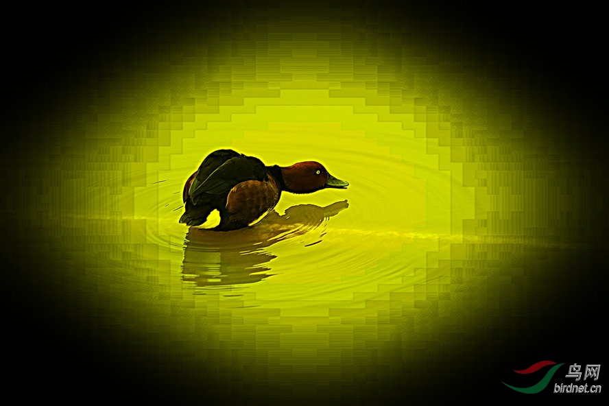AQ1I0258_����_����.jpg