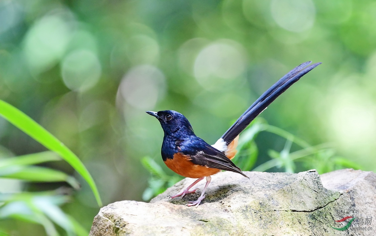 DSC_6109a.JPG